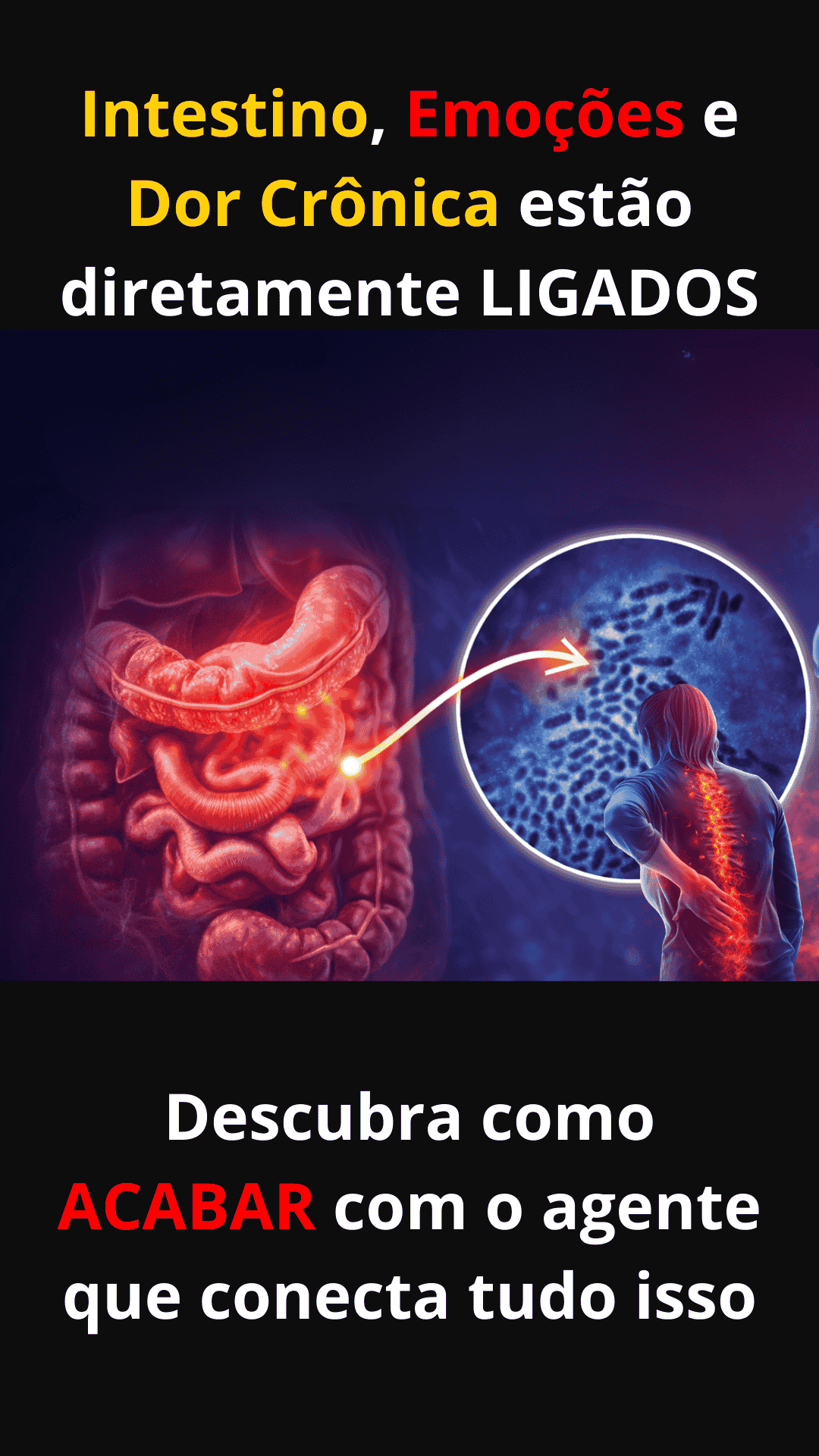 Intestino, Emoções e Dor Crônica estão diretamente LIGADOS